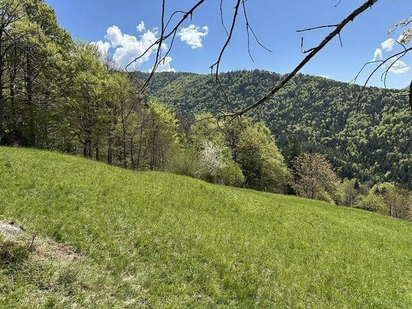 Maison rustique de 4 pièces à rénover avec beaucoup d'espace extérieur dans un emplacement isolé, très ensoleillé, calme avec vue panoramique - Photo 12 sur 13