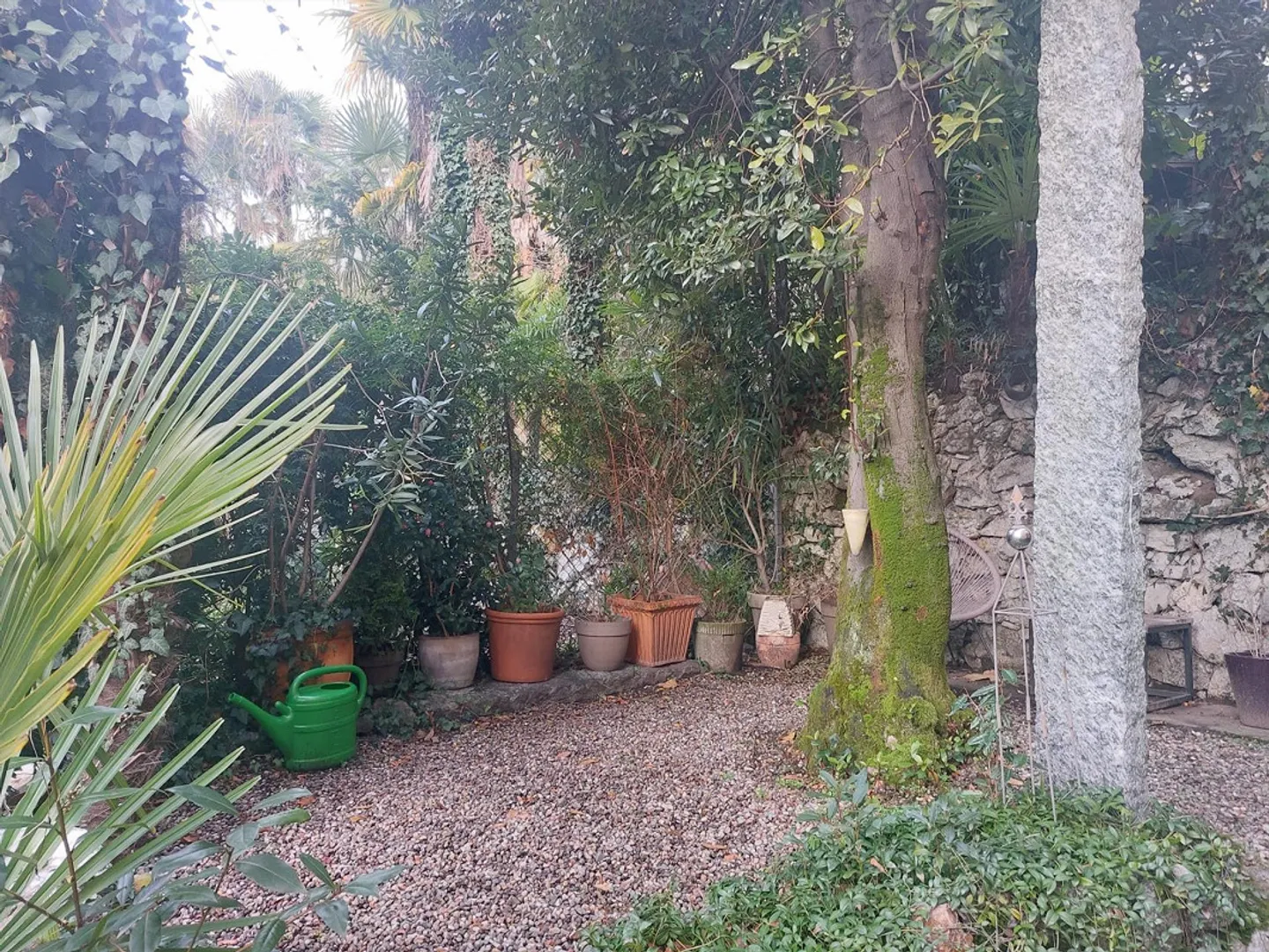 Appartement 2,5 pièces à Muralto - Photo 2 sur 12