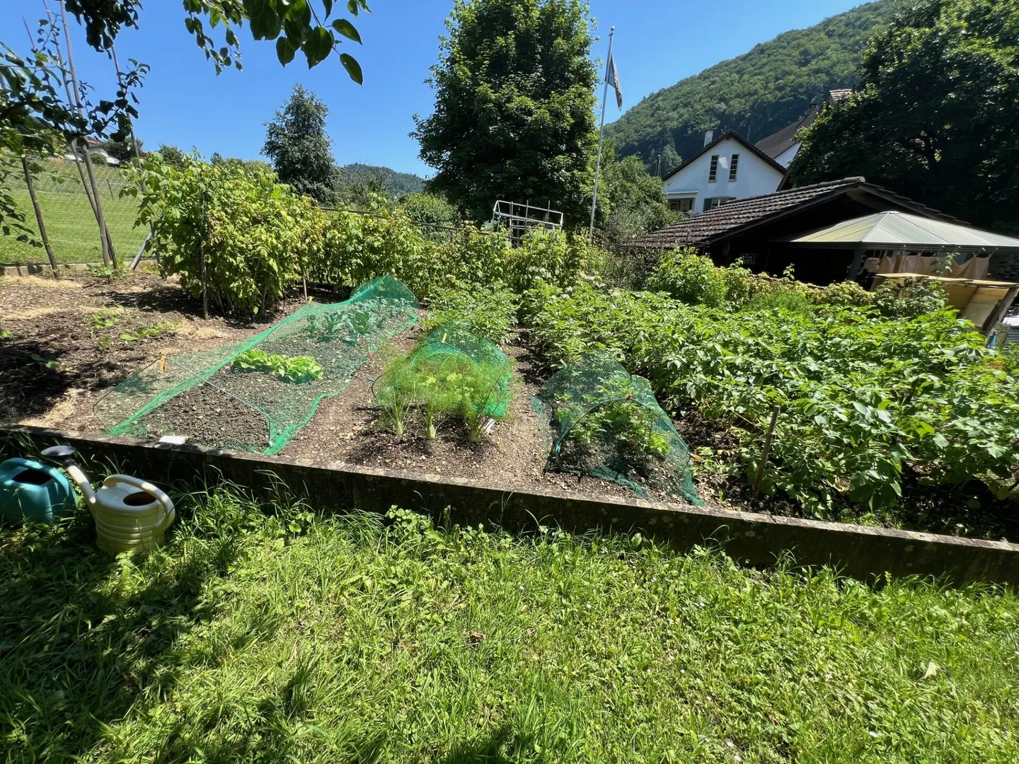 Former Farmhouse - Photo 18 of 19