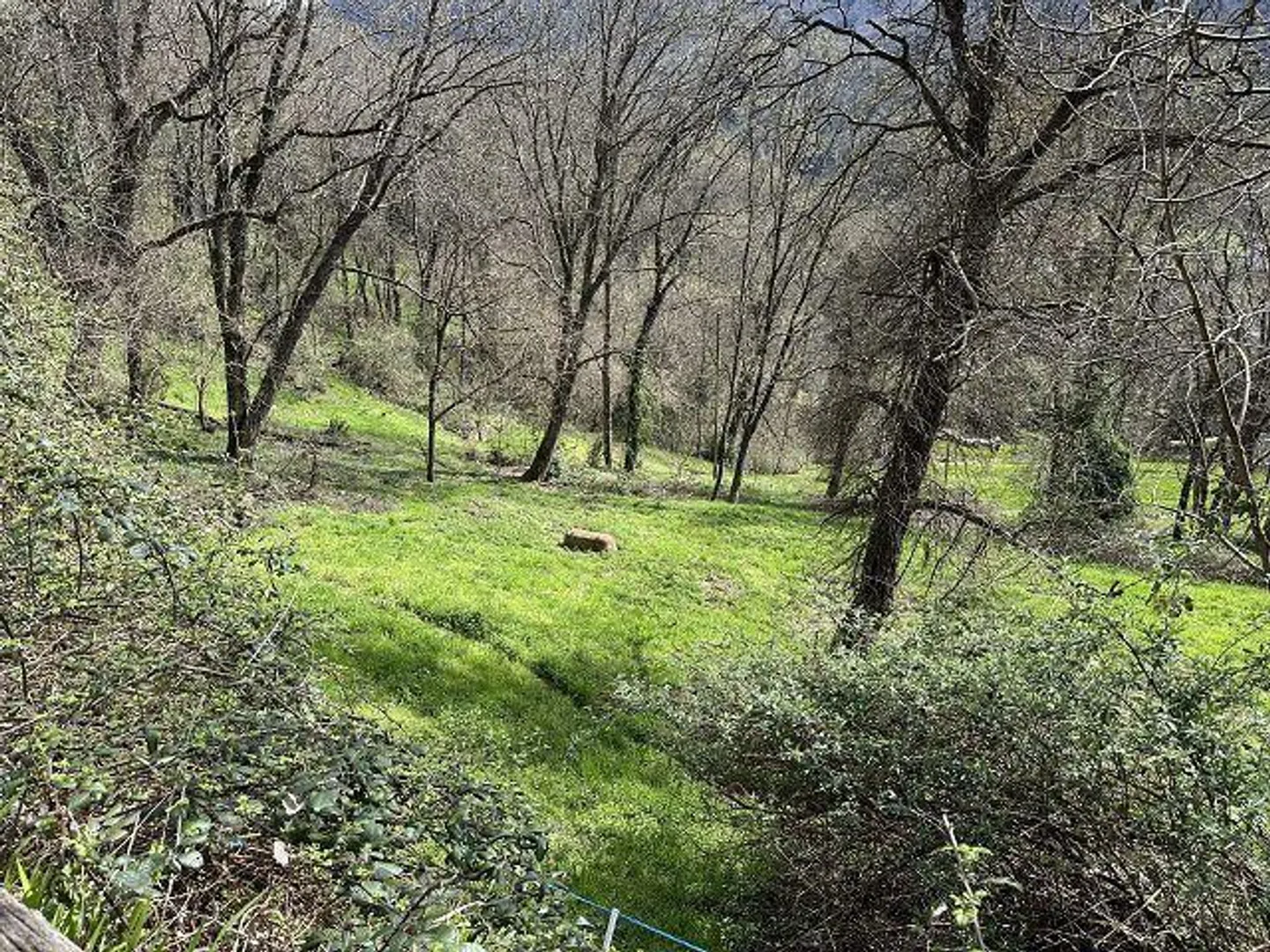 Maison de 4 pièces à rénover avec beaucoup de terrain dans un emplacement très calme et ensoleillé - Photo 12 sur 18