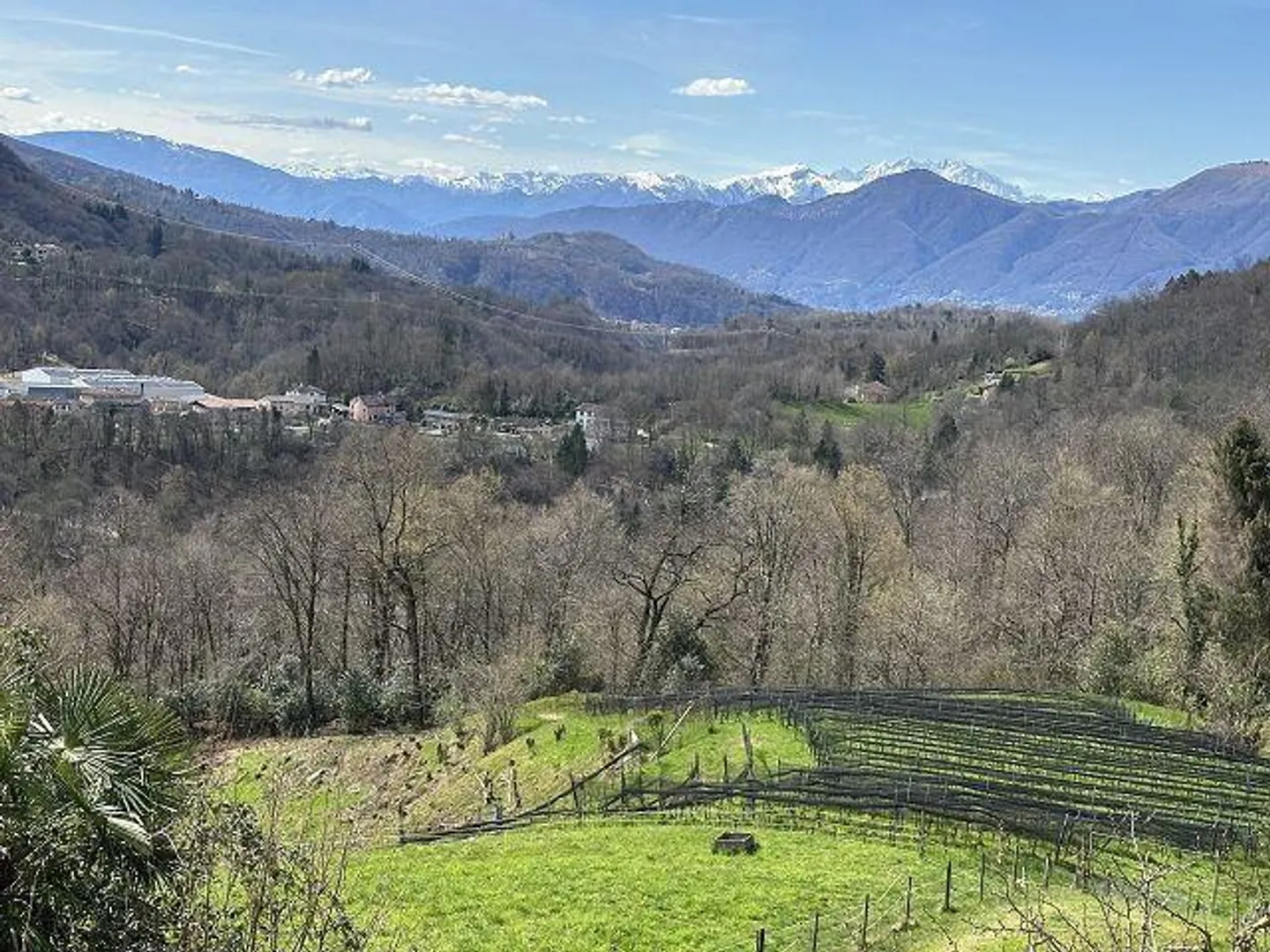 Maison de 4 pièces à rénover avec beaucoup de terrain dans un emplacement très calme et ensoleillé - Photo 15 sur 18