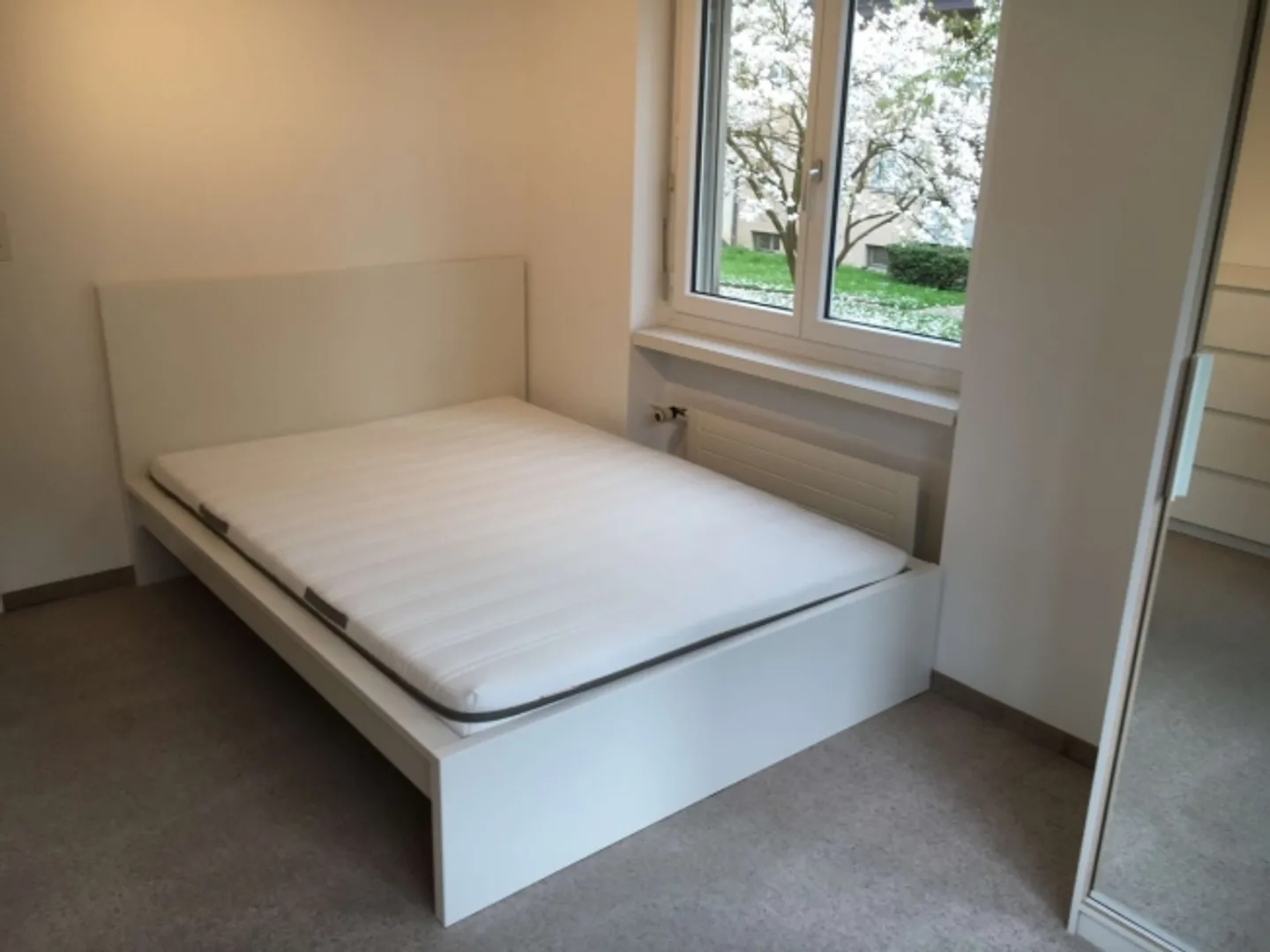 «Modernes Coliving im Grünen mit top Anbindung in Zürich-Affoltern» - Foto 2 von 13