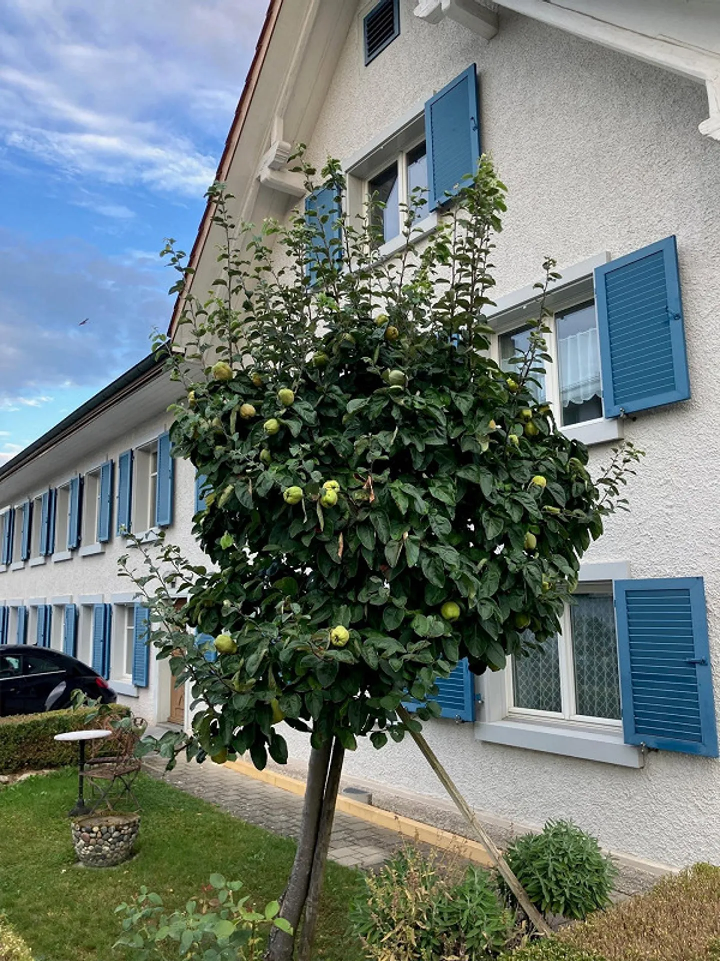 Vivere con stile in un edificio storico - Dotazioni moderne, dettagli affascinanti - Foto 16 di 17