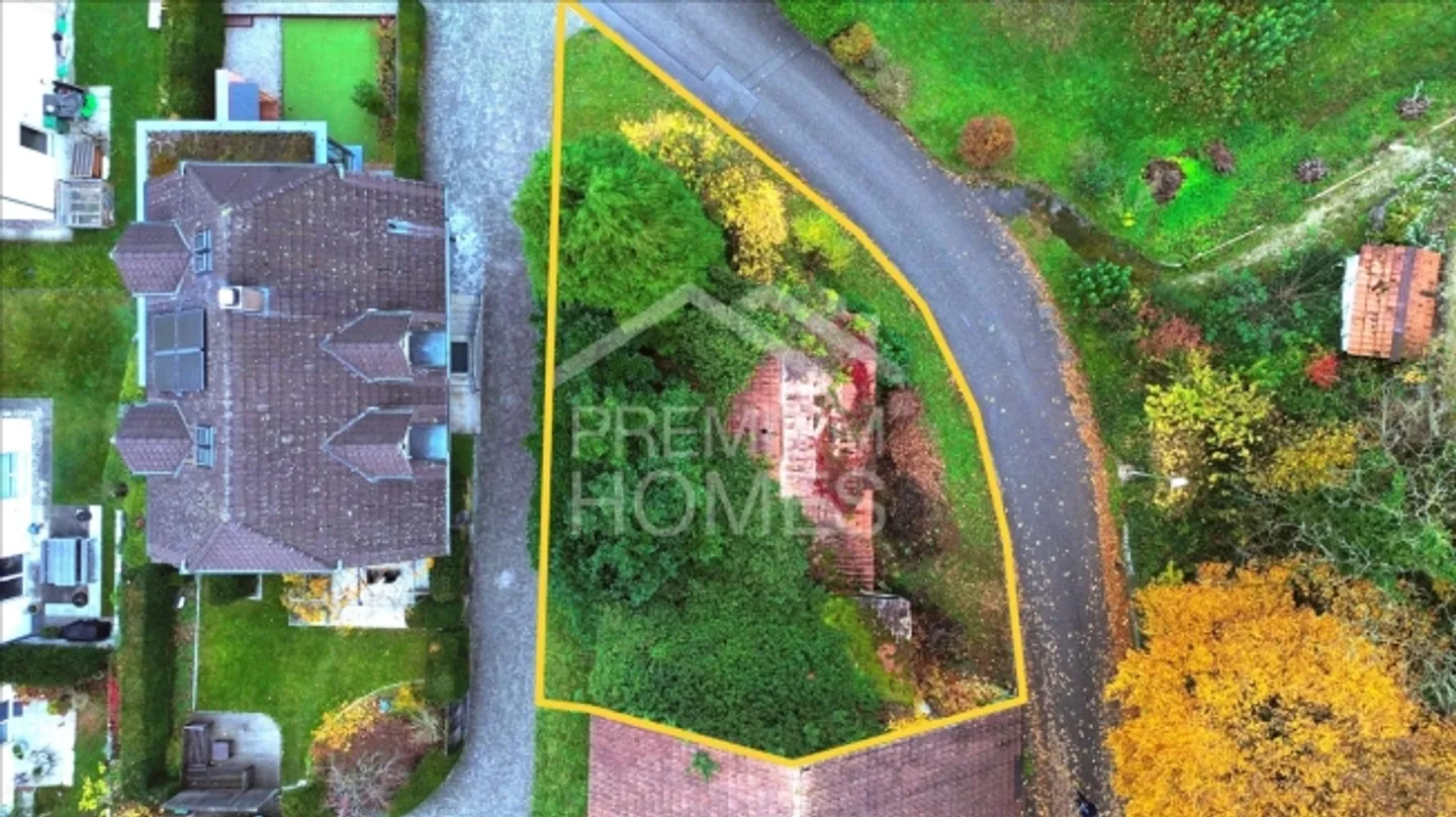 Design Your Own Mini Paradise - Photo 3 of 4