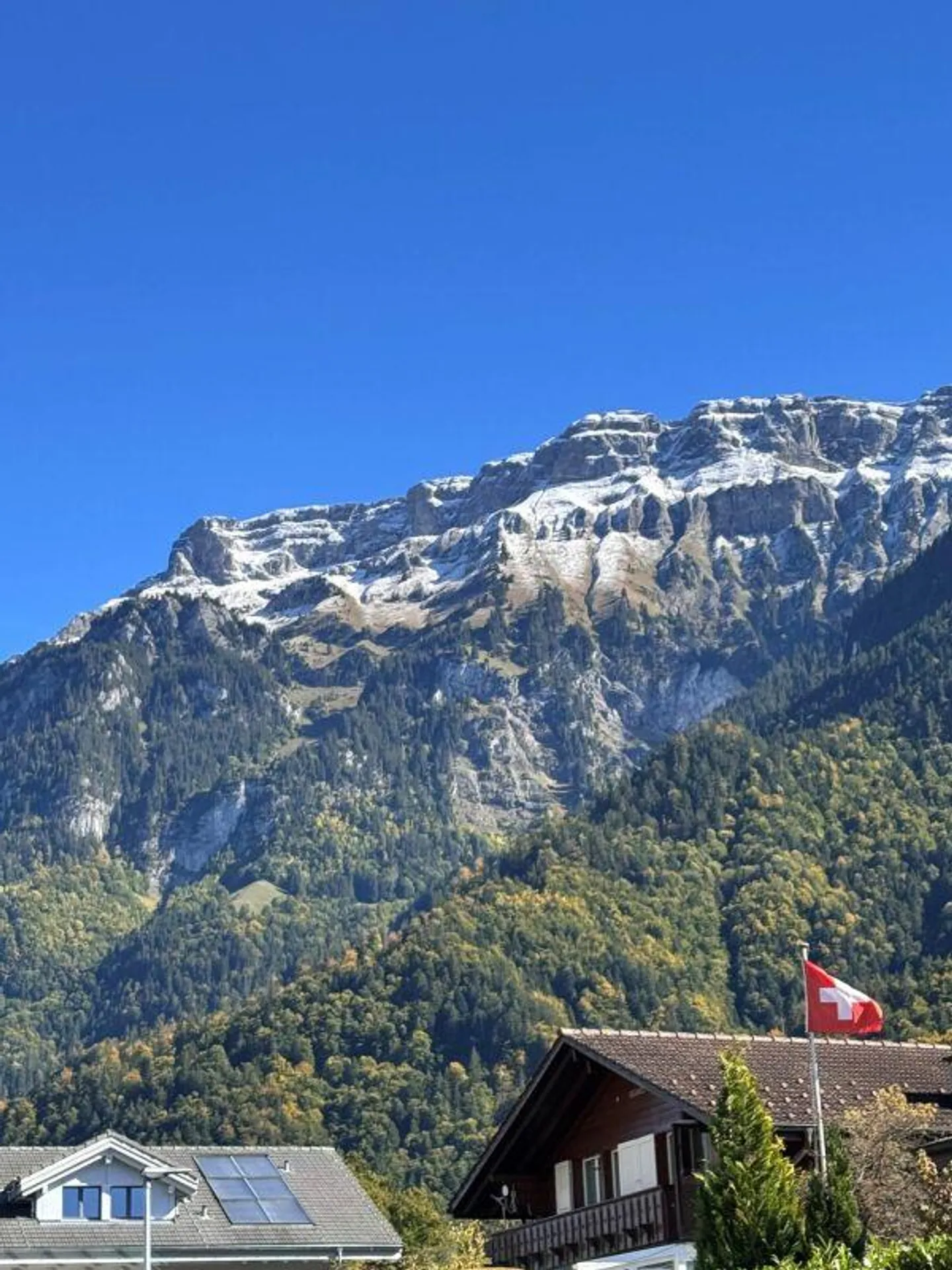GEPFLEGTES DOPPELHAUS AM BRIENZERSEE - Foto 4 von 11