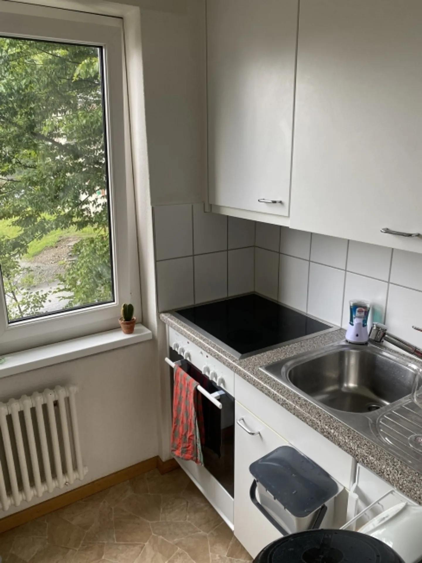 Appartamento 2½ locali ad Aarau (AG), arredato, temporaneo - Foto 8 di 10