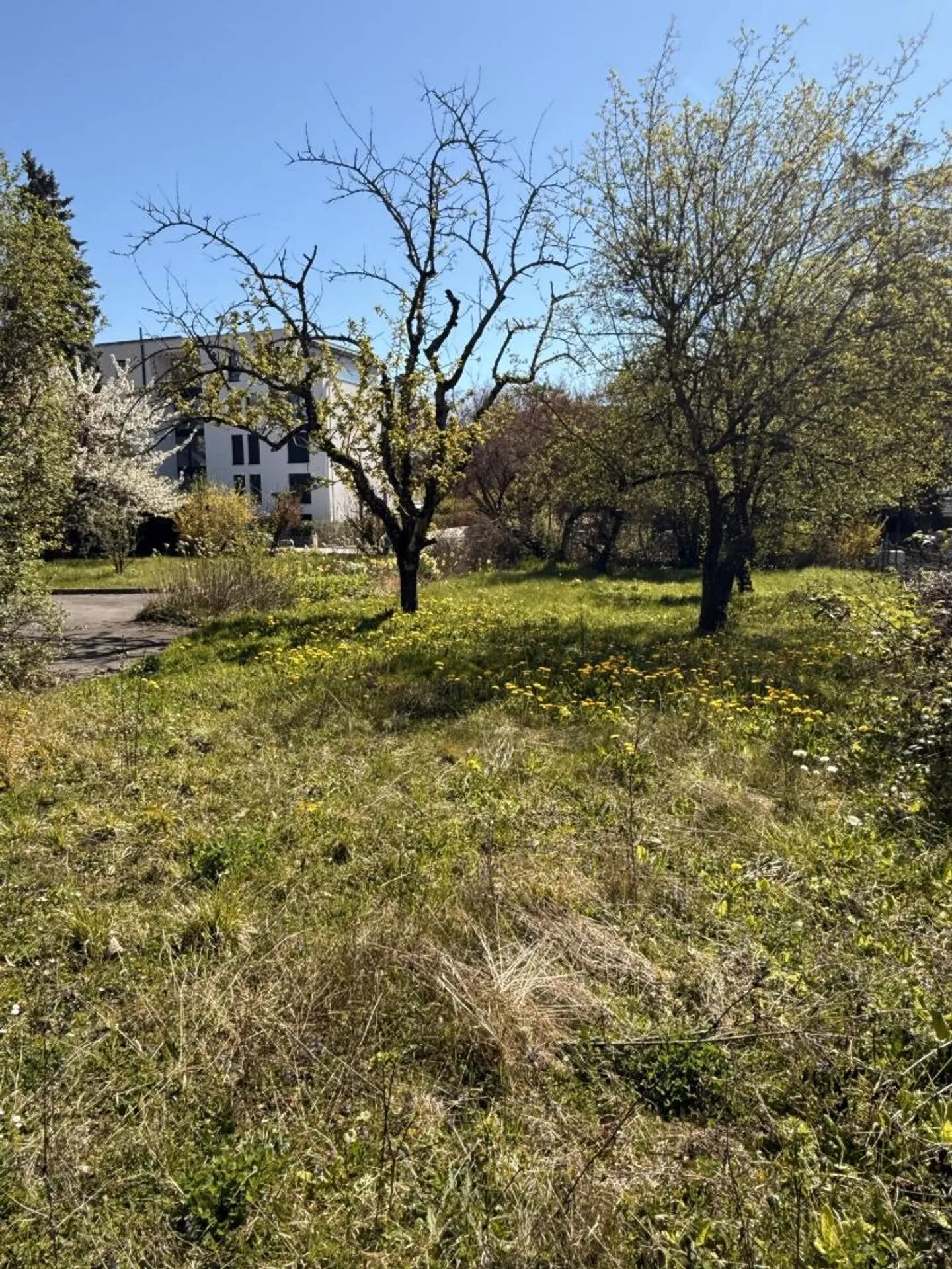 Casa 6.5 stanze - Foto 1 di 6