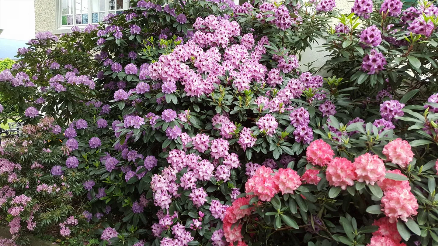 Appartement 3,5 pièces - Photo 15 sur 15