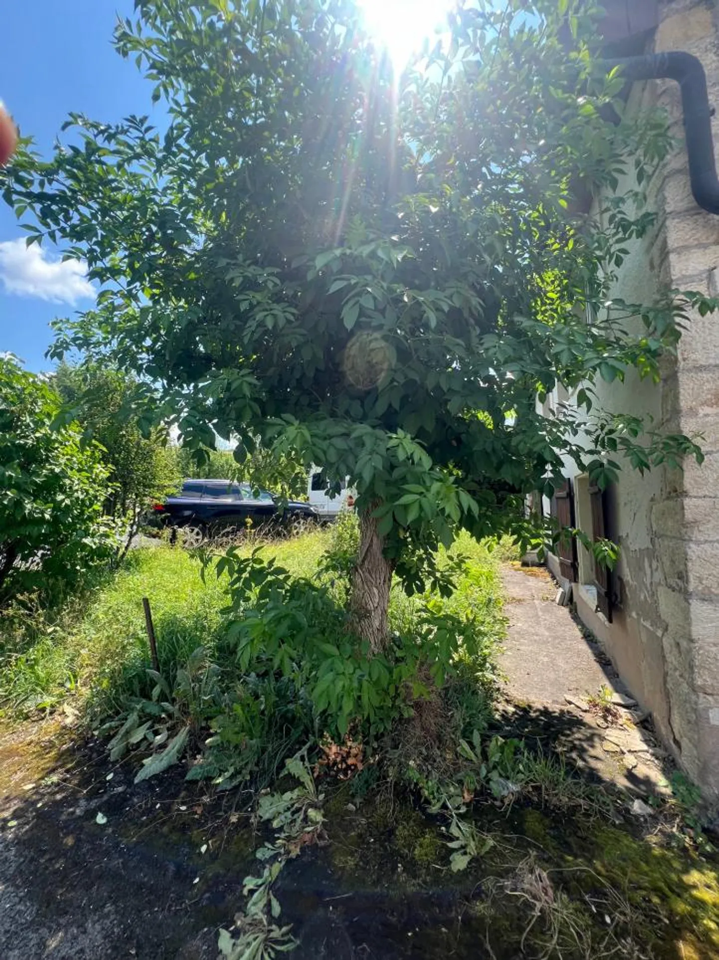 «Möbliert, mit privatem Garten in einem kleinen Gebäude, schöne grüne Umgebung» - Foto 2 von 9
