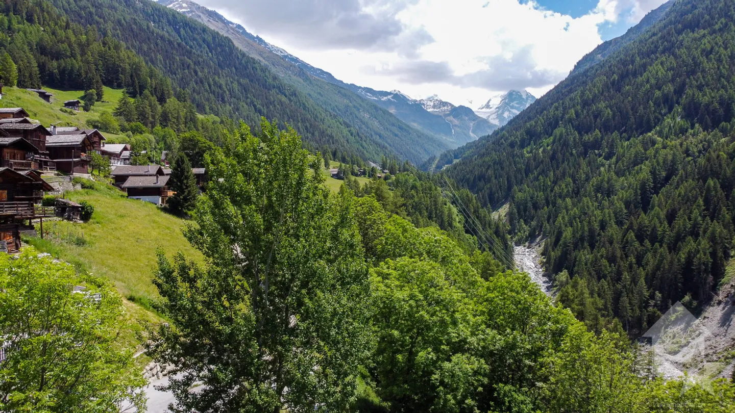 Splendide parcelle à bâtir - Photo 5 sur 9