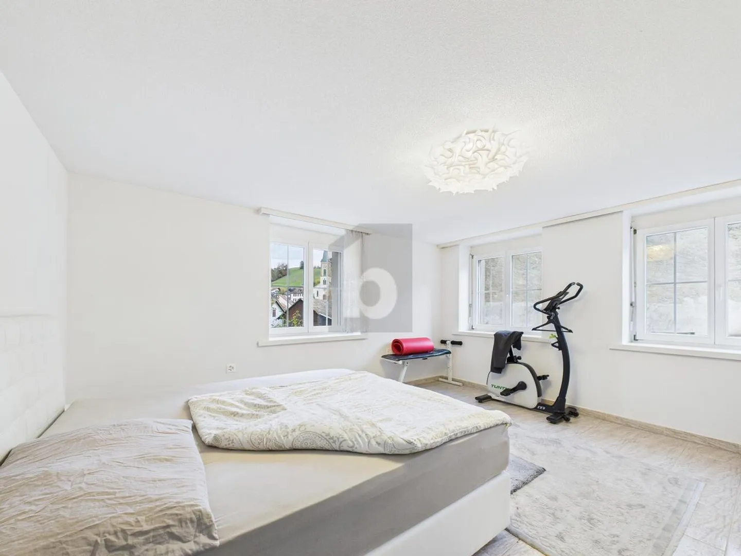 Stiloso in un ambiente verde - Foto 3 di 6