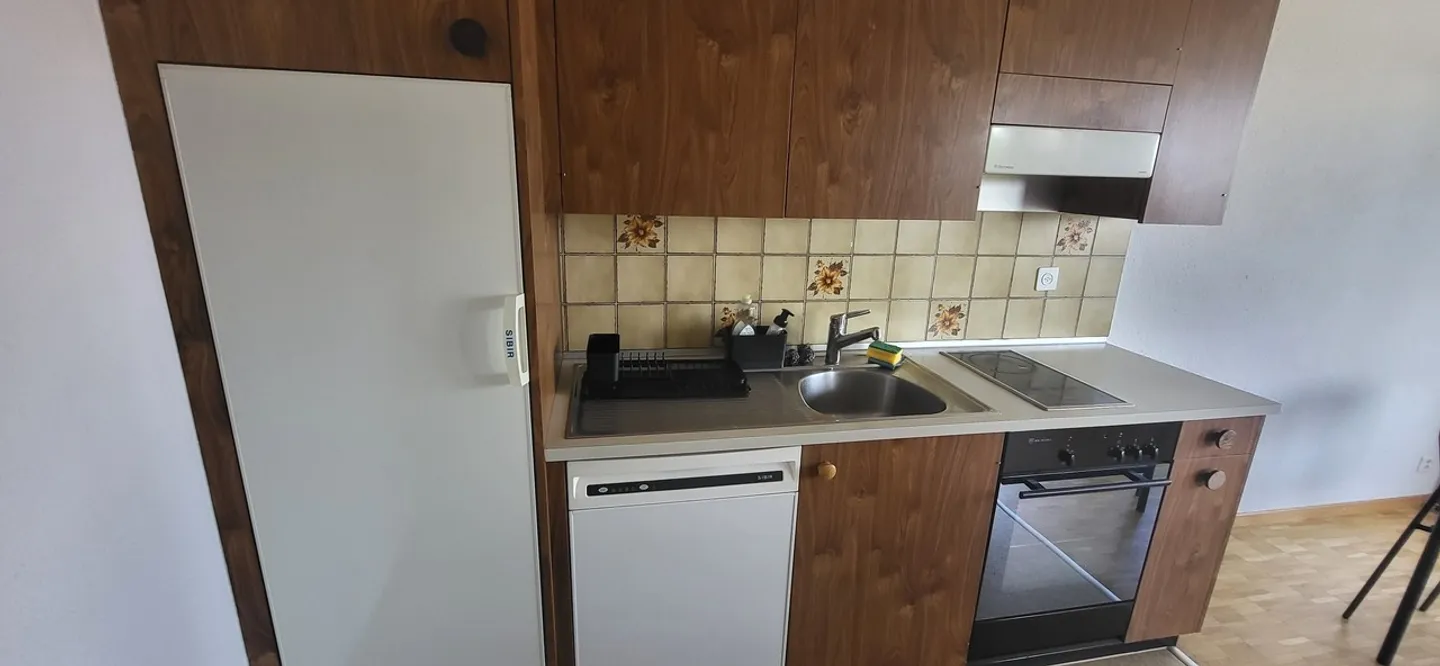 2.5 Room Apartment with Charm for Rent in the City Center of Biel - Photo 3 of 7