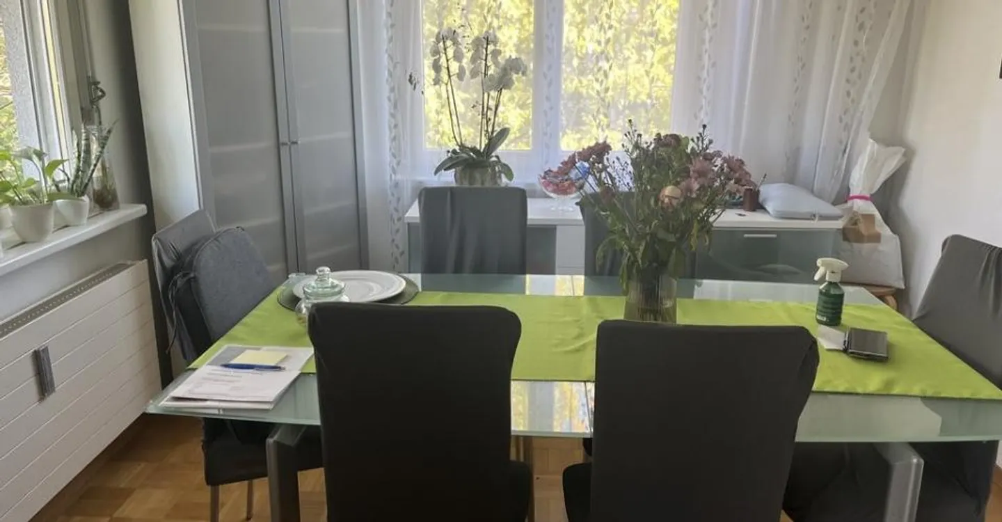 Charmante Wohnung in Weinfelden - Foto 4 von 9