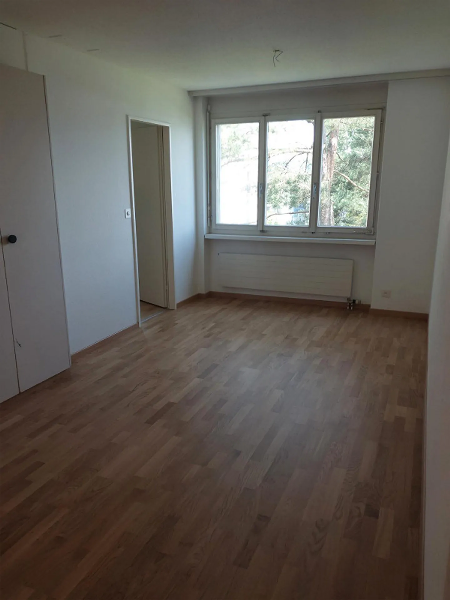 Quietly Located 3.5 Room Apartment - Photo 2 of 10