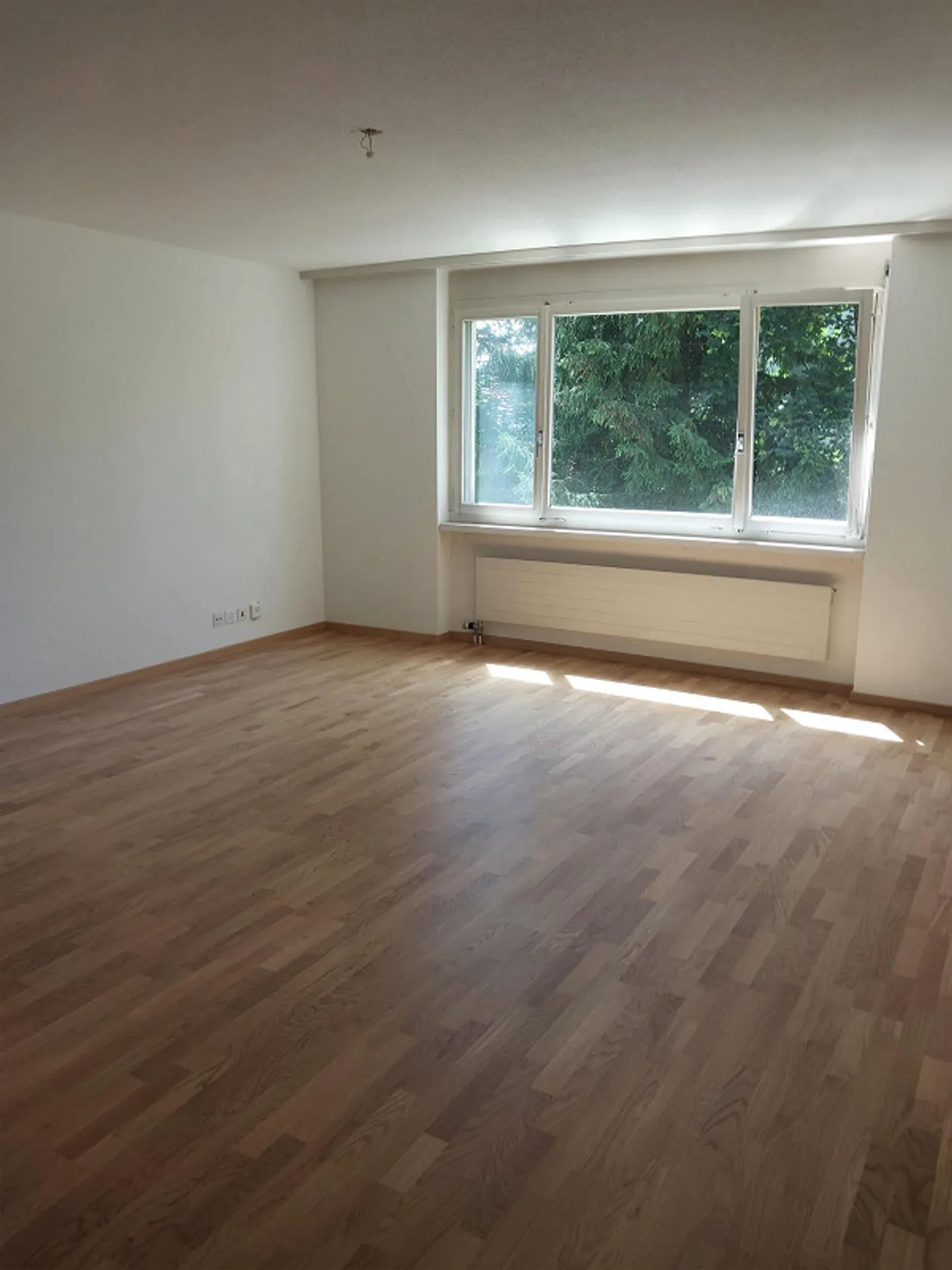 Quietly Located 3.5 Room Apartment - Photo 3 of 10