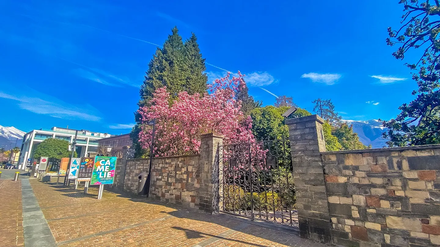 Investitionsmöglichkeit im Herzen von Ascona - Foto 20 von 21