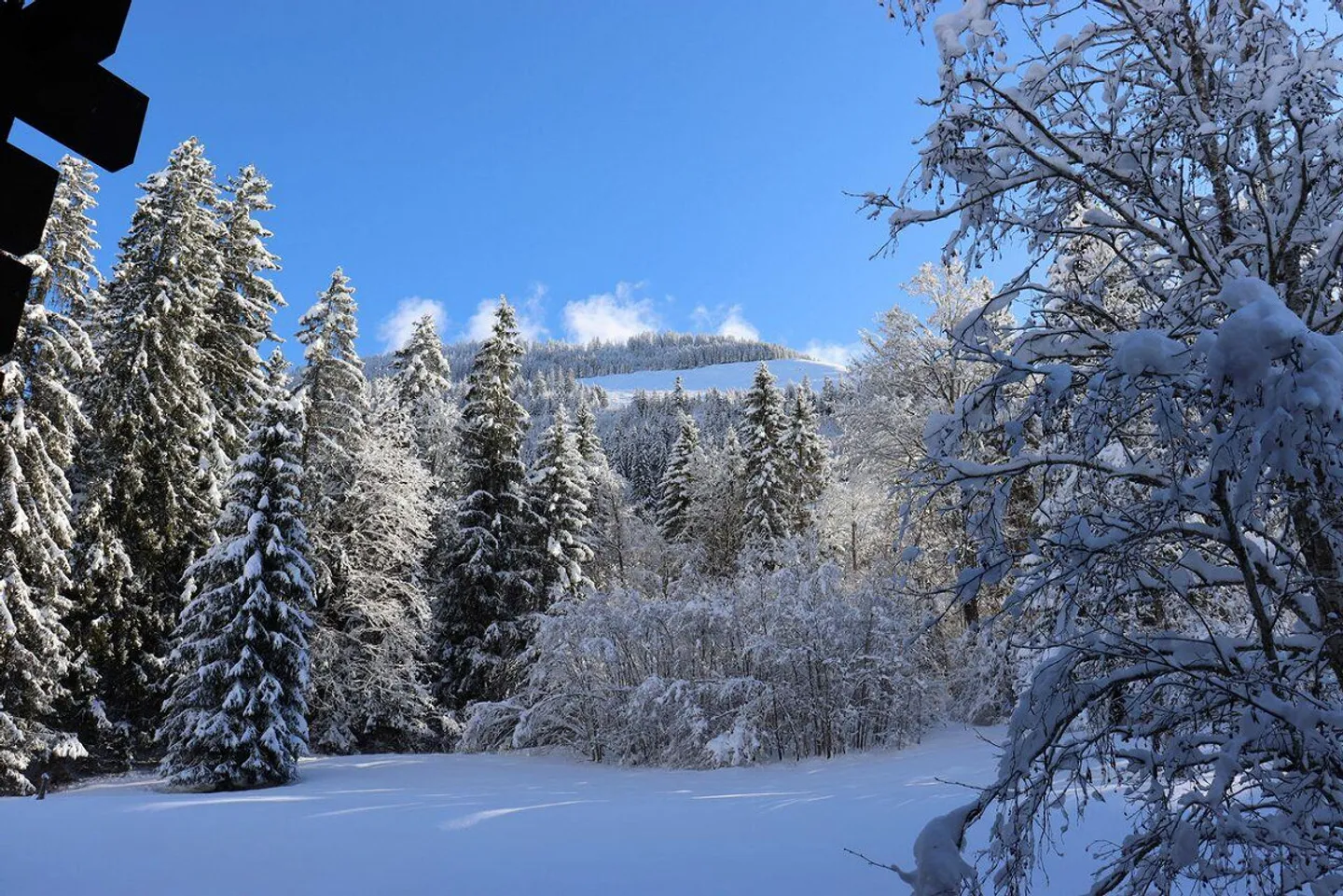 Luxurious 2.5-room apartment at Wiriehorn - Photo 12 of 17