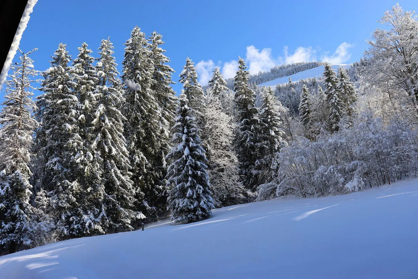 Luxurious 2.5-room apartment at Wiriehorn - Photo 14 of 17