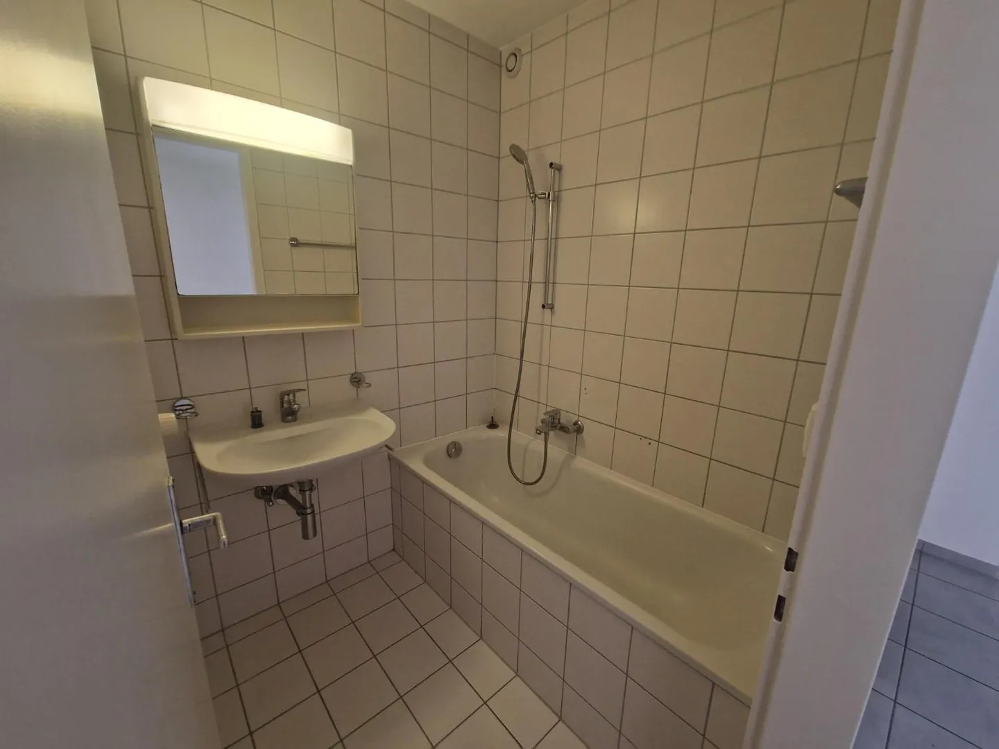 3.5 Room Apartment - Photo 7 of 8