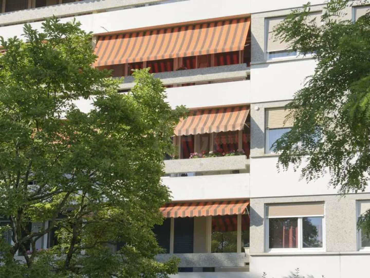 Appartement - Thônex - Photo 3 sur 4