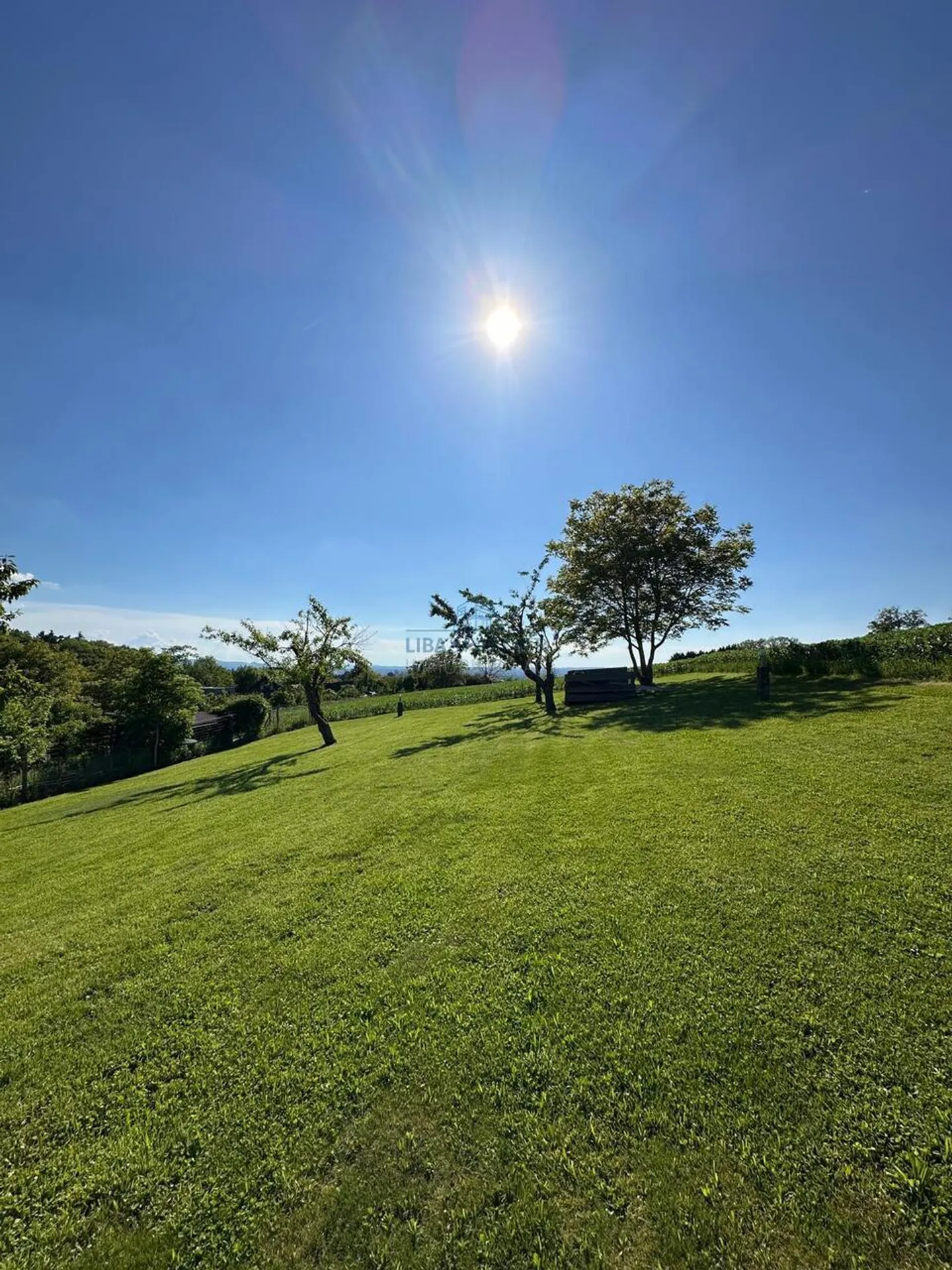 Apartment for rent - Photo 6 of 10