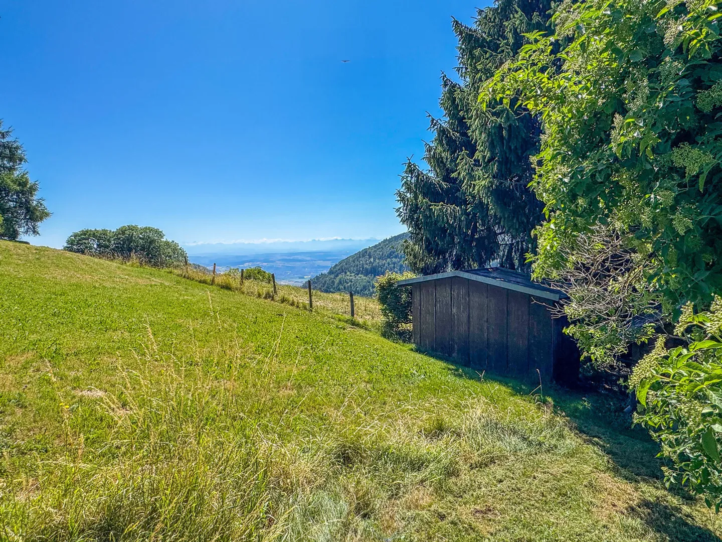 Casa unifamiliare con 5.5 stanze
Giardino, orto e bel corridoio - Foto 15 di 19