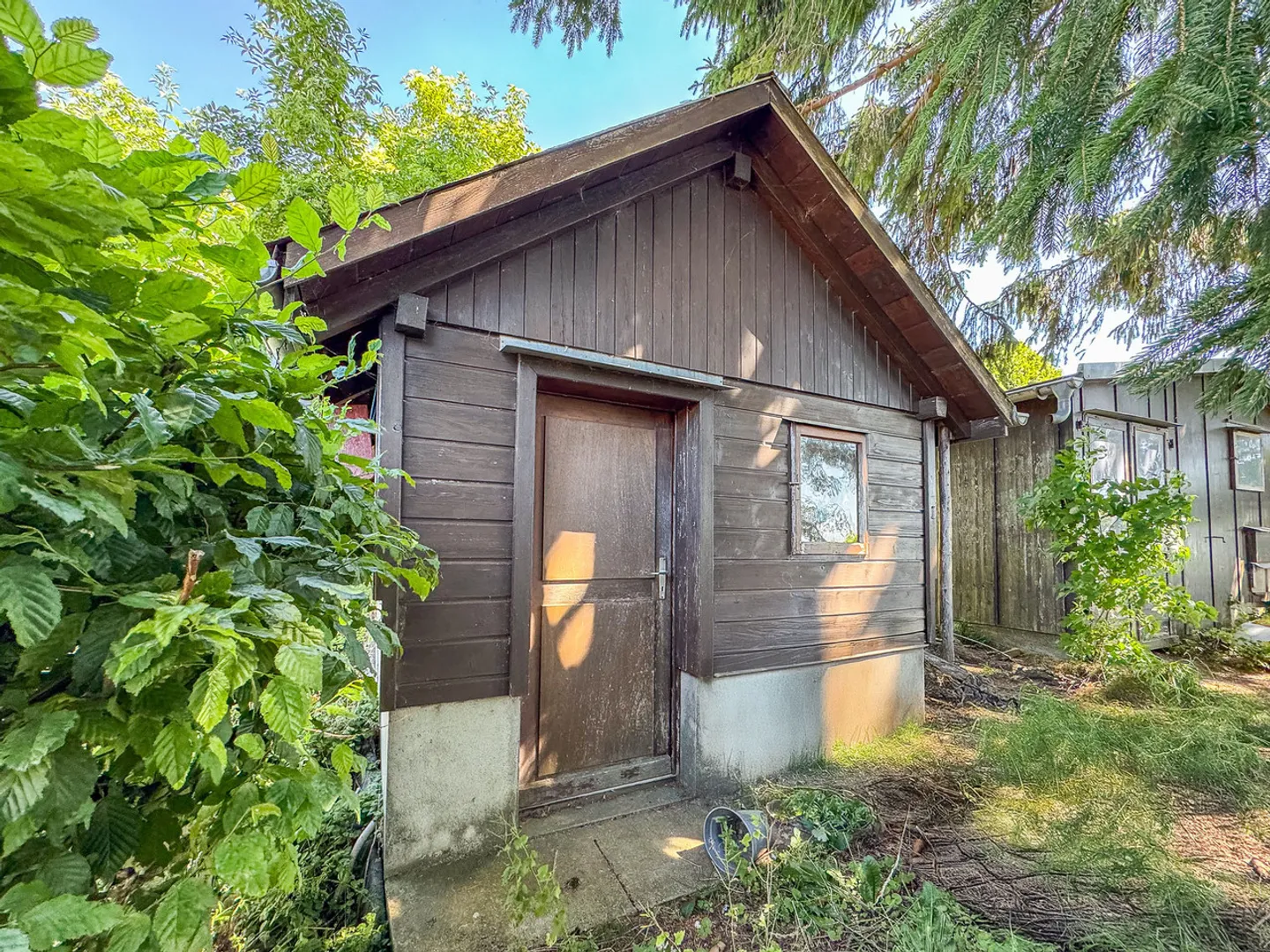 Casa unifamiliare con 5.5 stanze
Giardino, orto e bel corridoio - Foto 16 di 19