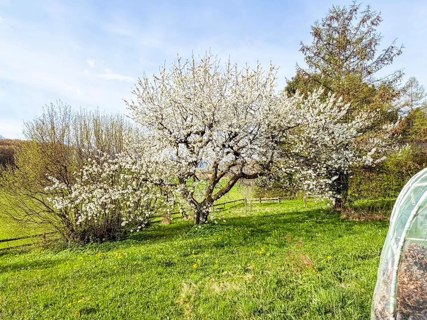 Charmante Maison Individuelle avec Jardin - Photo 15 sur 19