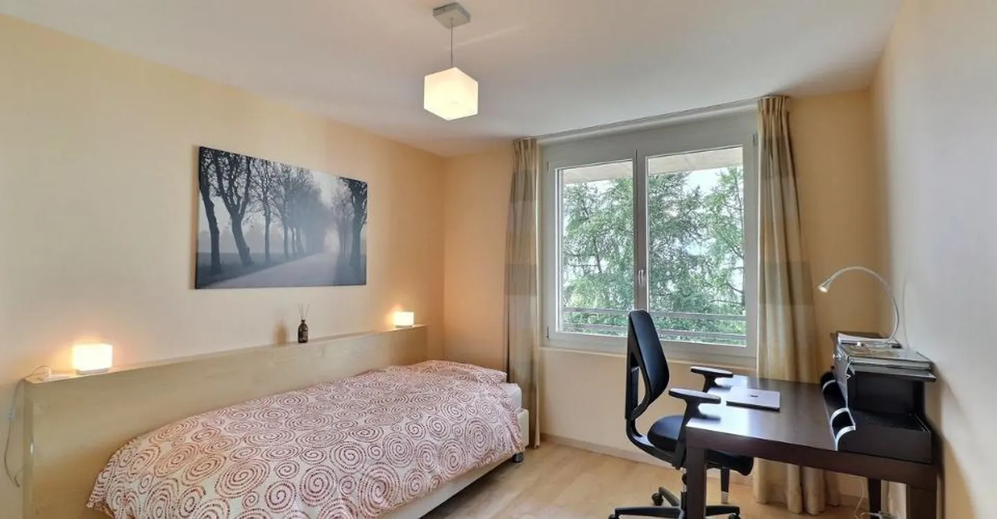 OPPORTUNITE - LUXUEUX ATTIQUE DE 4.5 PIECES AU CENTRE DE MONTREUX - Foto 8 von 11
