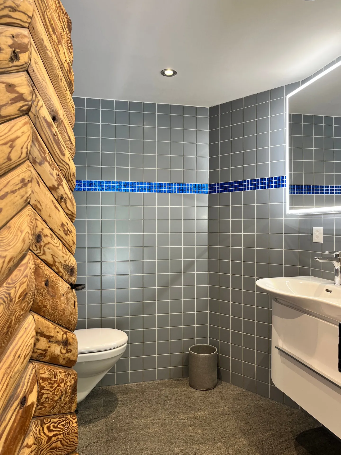 Charming renovated chalet in Gryon-Villars - Photo 15 of 18