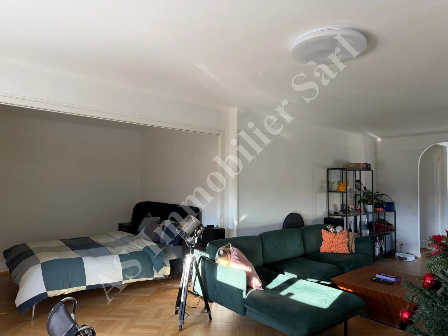 Lausanne - Montchoisi District - 2.5 Room Apartment with 75m2 Terrace and Fireplace - Photo 6 of 13