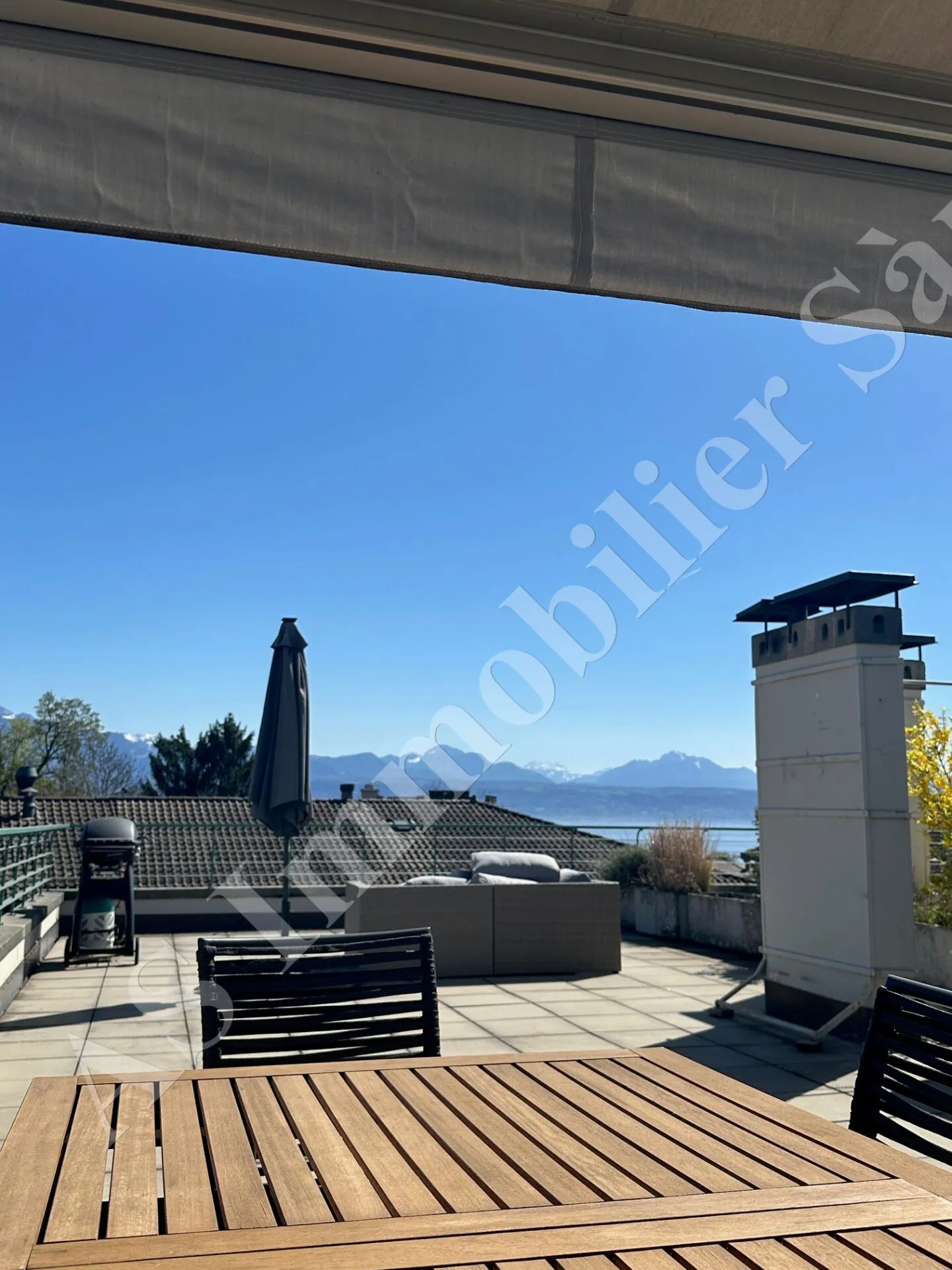 Lausanne - Montchoisi District - 2.5 Room Apartment with 75m2 Terrace and Fireplace - Photo 11 of 13