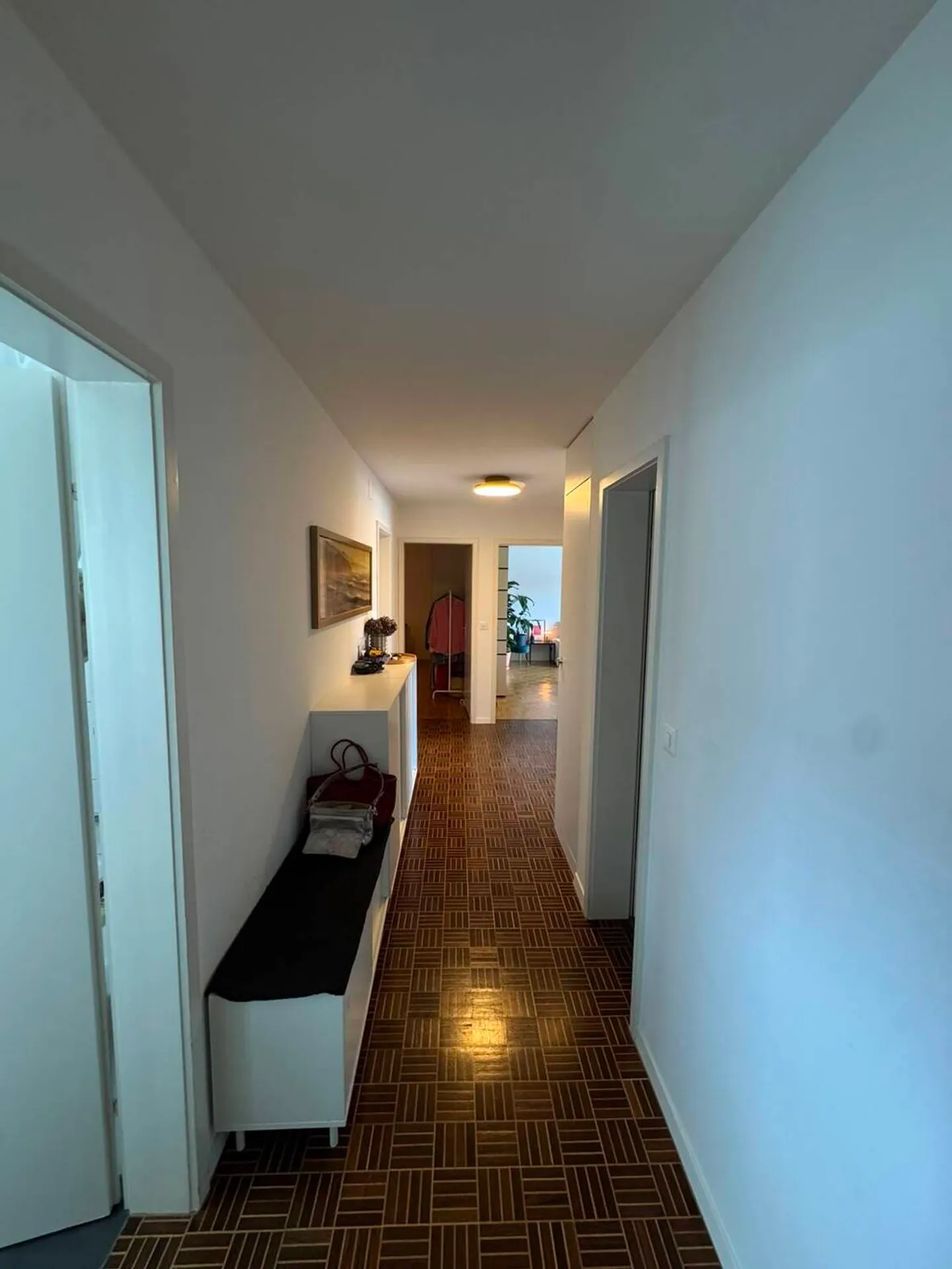 APPARTAMENTO 3 LOCALI A ZURIGO - DISTRETTO 4 LANGSTRASSE, ARREDATO, TEMPORANEO - Foto 6 di 10