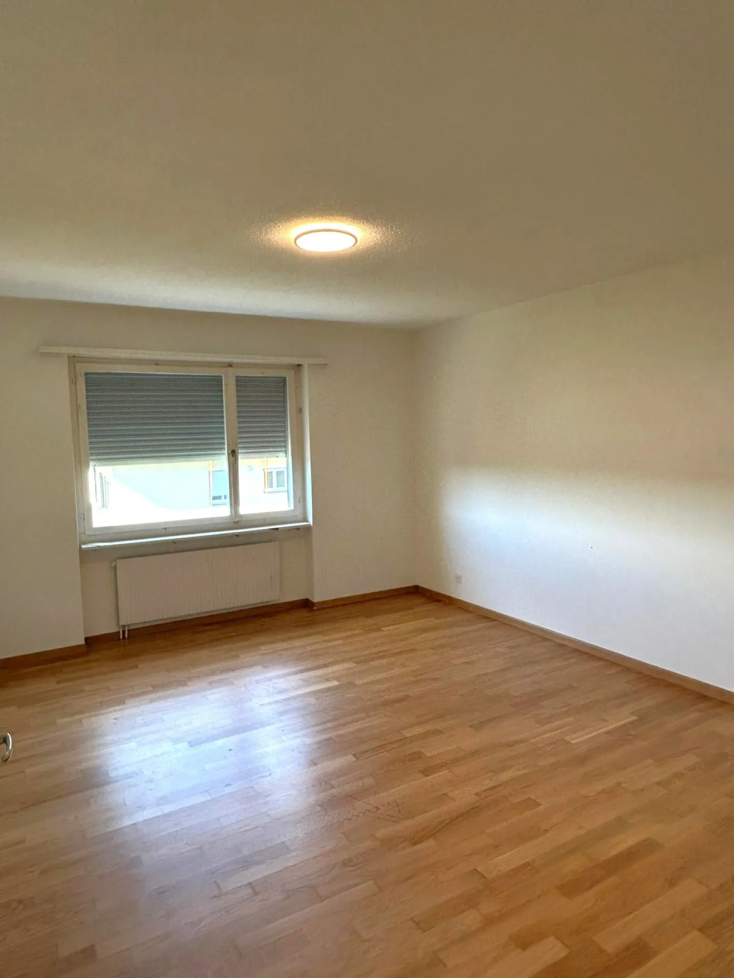Appartamento 2½ locali a Ebikon Copia - Foto 4 di 5