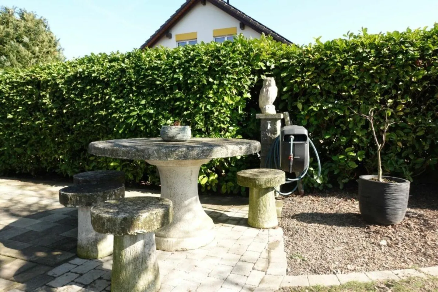 Oasi indipendente con camino e grande giardino - Foto 8 di 30