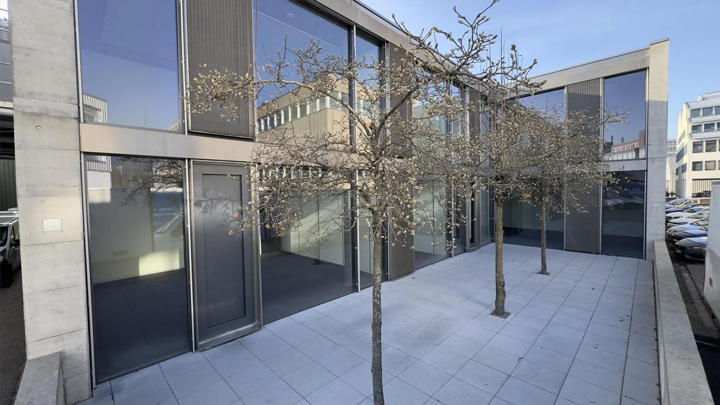 «Gewerbe in Dietikon» - Foto 13 von 13