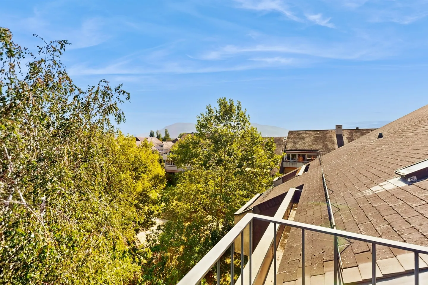 Il fascino della campagna ginevrina! - Foto 6 di 11