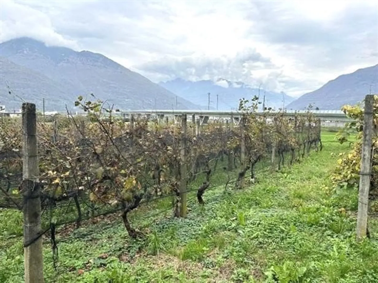 Villa de 6 1/2 pièces avec vignoble - Photo 18 sur 20