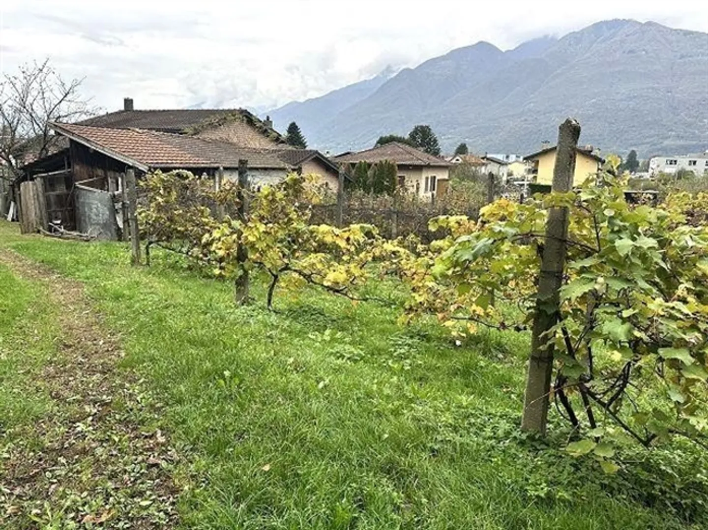 Villa de 6 1/2 pièces avec vignoble - Photo 19 sur 20