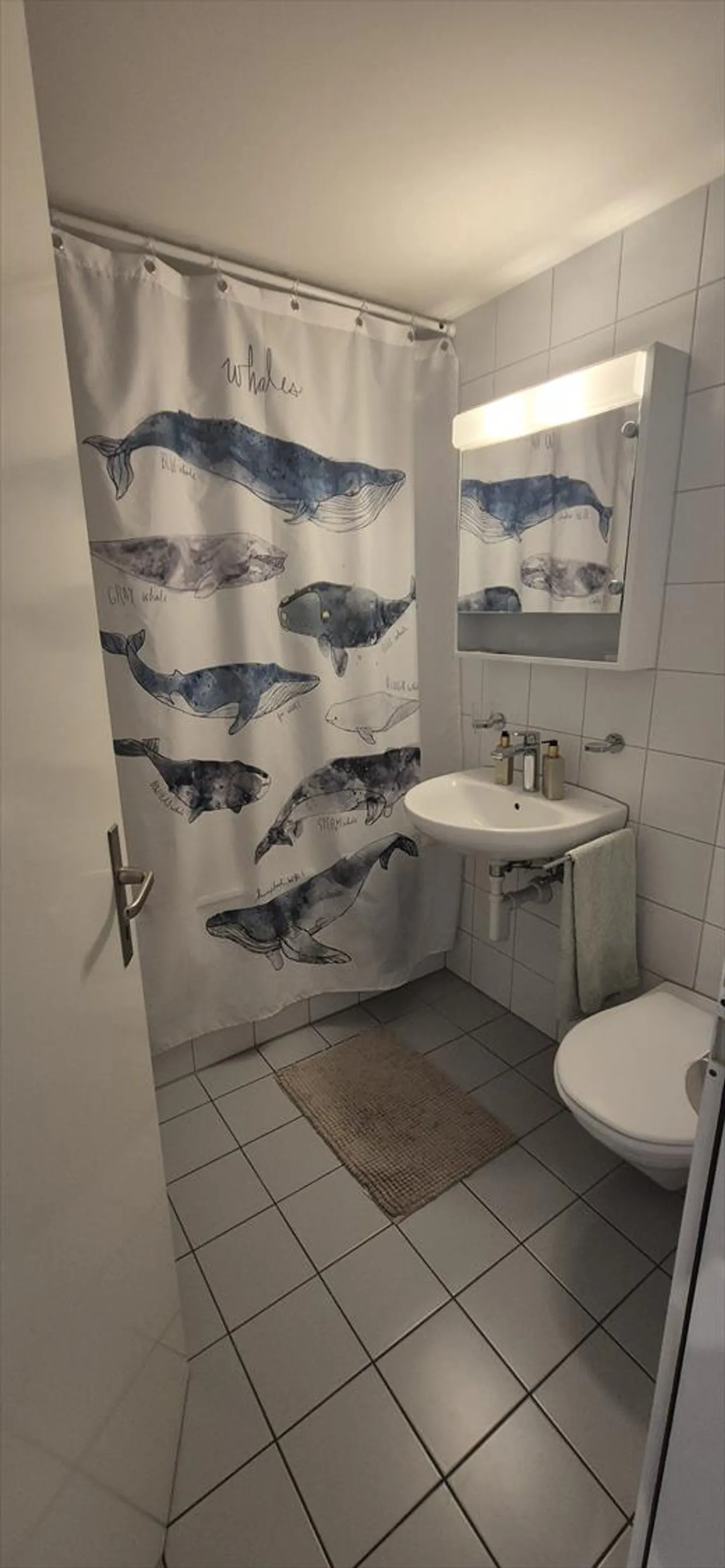 Appartement 1.5 pièces - Photo 5 sur 7