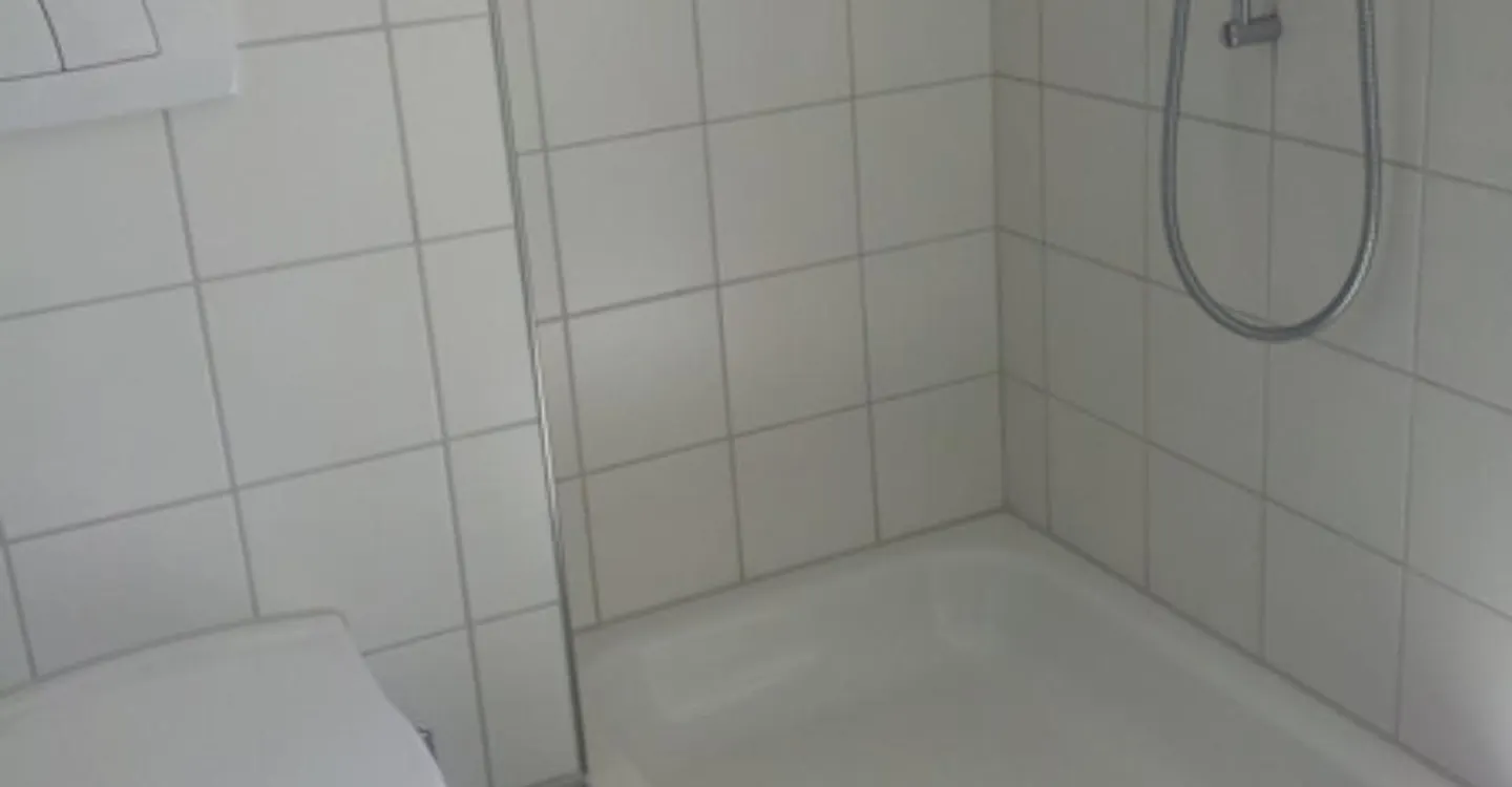 Geräumige Attikawohnung mit Terrassen - Foto 5 von 5