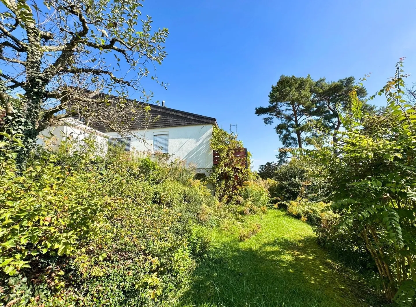 Plot (buildable) with panoramic view, single-family home in need of renovation - Photo 1 of 9