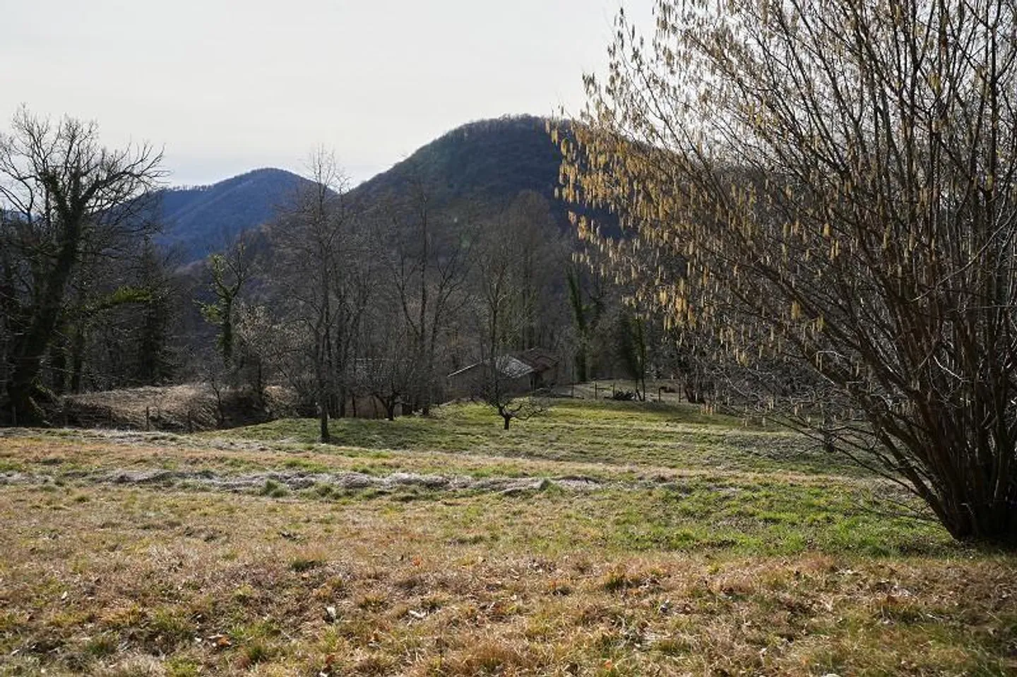 Charmantes Chalet in ruhiger Natur - Foto 16 von 36