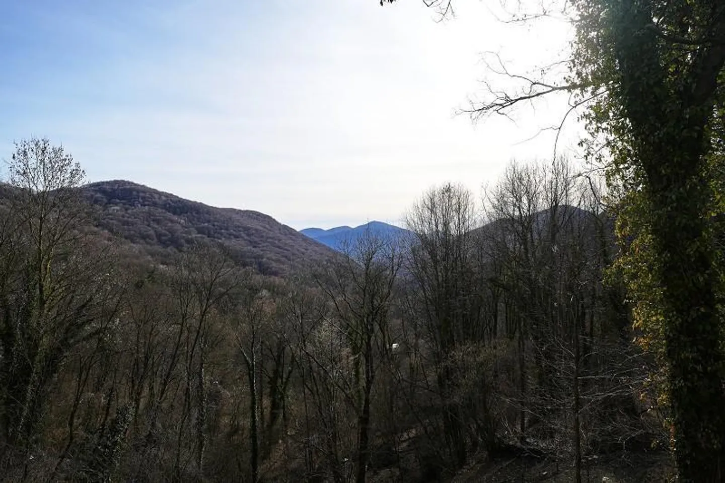 Charmantes Chalet in ruhiger Natur - Foto 22 von 36