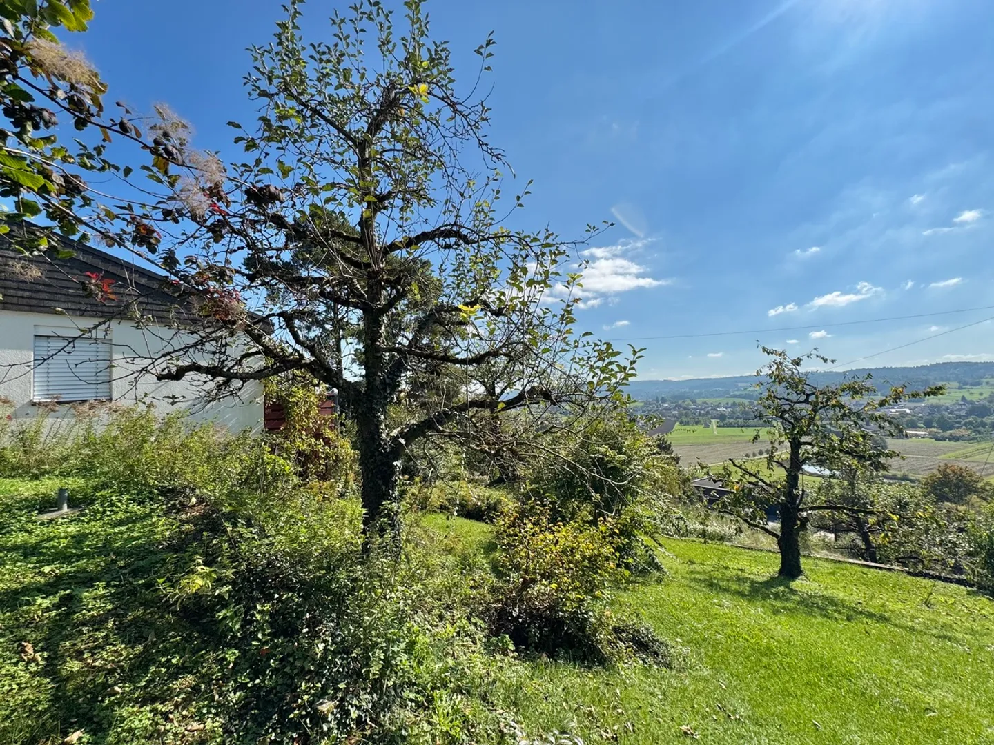 Plot (buildable) with panoramic view, single-family home in need of renovation - Photo 6 of 9