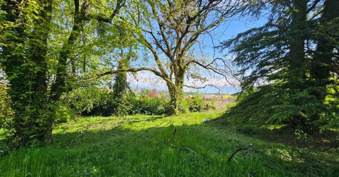 Villa individuale di alta gamma su piano - NUOVA - Foto 5 di 11