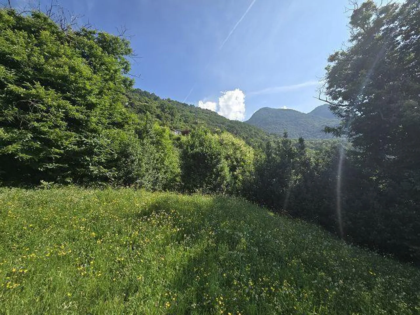 Terrain constructible R2 de 1377 m2 très ensoleillé, calme, beau... - Photo 6 sur 14