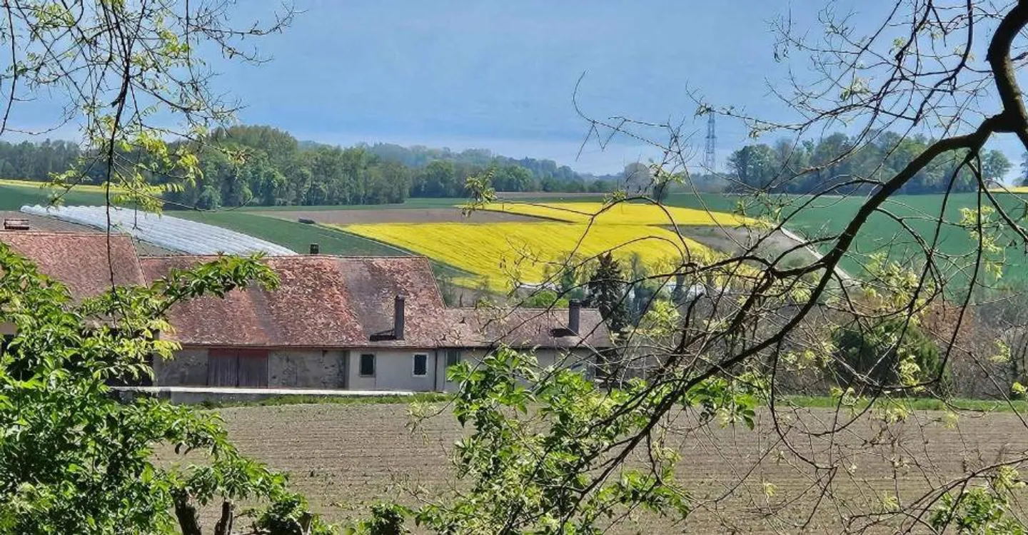 Villa individuale di alta gamma su piano - NUOVA - Foto 6 di 11