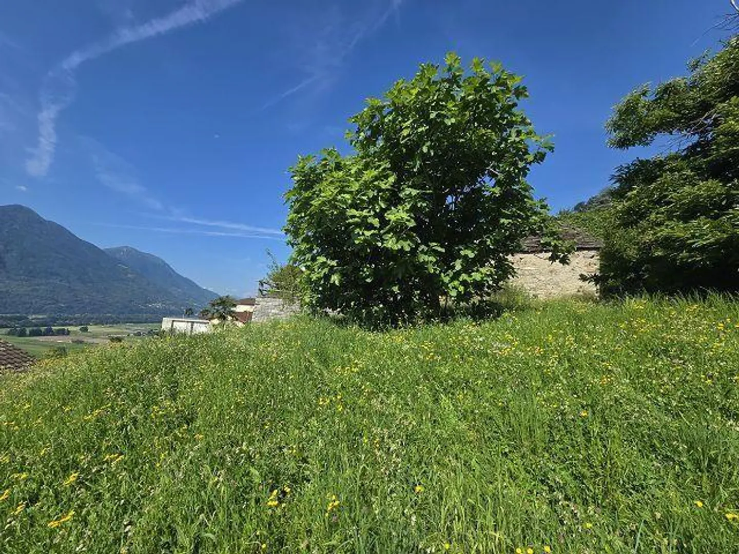 Terrain constructible R2 de 1377 m2 très ensoleillé, calme, beau... - Photo 1 sur 14