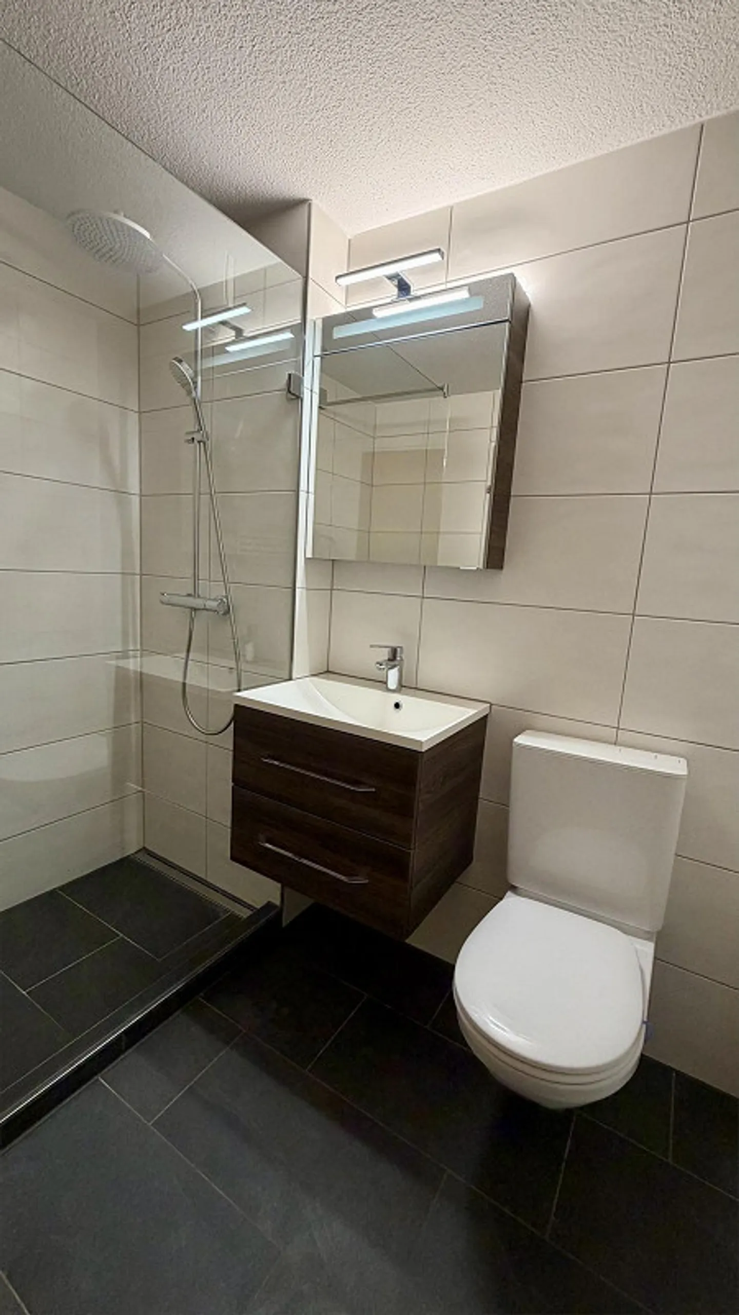 Appartement lumineux de 4,5 pièces avec patio à Gelterkinden - Photo 4 sur 15